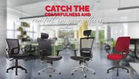 Catch The Colorfulness And Confort İn Your Offices